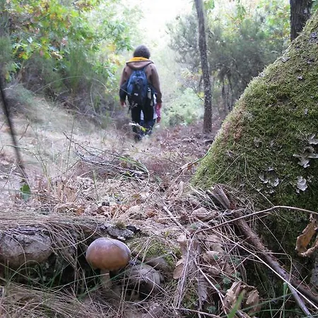 Camino Luyego de Somoza